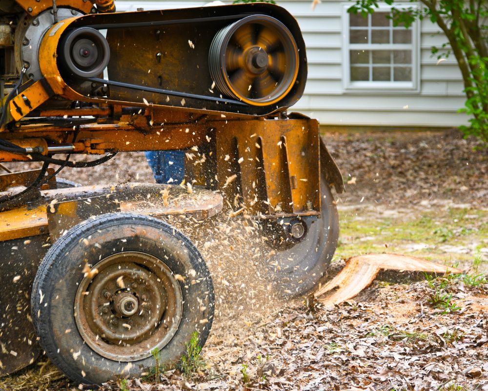 machinery close up stump grinding at house backyard fayetteville ga