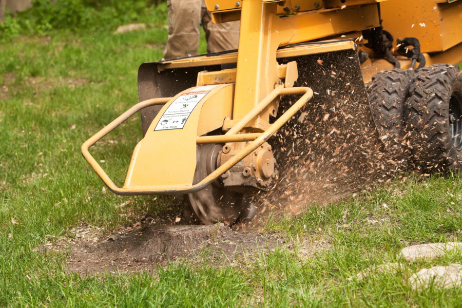 stump grinding machine college park ga