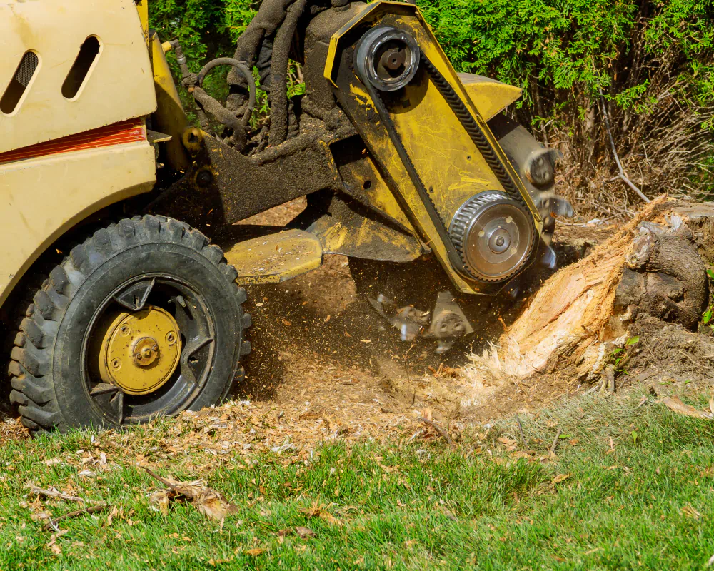 heavy vehicle being used to remove stump Forest Park GA1 NEW