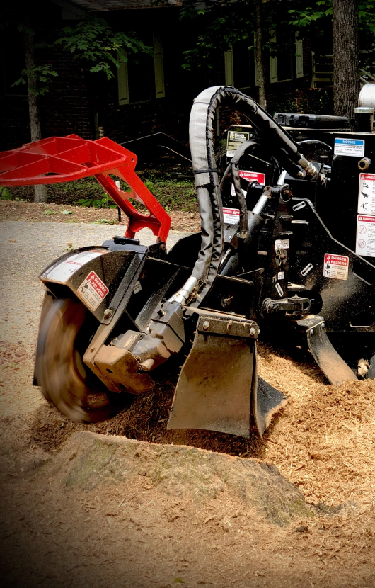 stump removal service Forest Park GA NEW